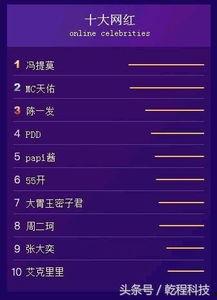 2017 视频网红排名,盘点网络红人崛起之路  第2张