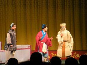 王华个人资料,才华横溢的青年才俊，多领域成就斐然  第3张