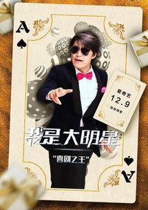 我是大明星 电影,追逐梦想的璀璨舞台  第2张